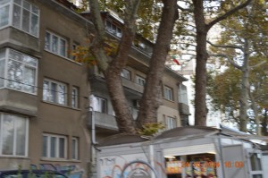 Лафка