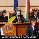 Маймуни