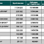 ПАРТИЙНИ СУБСИДИИ