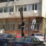 сеч на дървета Варна