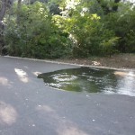 морска градина