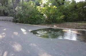 морска градина варна