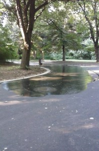 морска градина варна