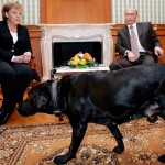 ПУТИН И МЕРКЕЛ
