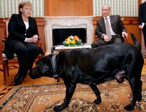 ПУТИН И МЕРКЕЛ