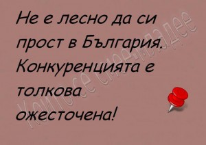 ВАРНА ПОРТНИХ