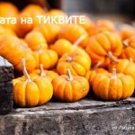 ТИКВИ