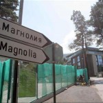 "Магнолия"