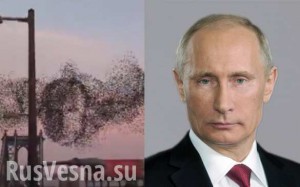 ПУТИН