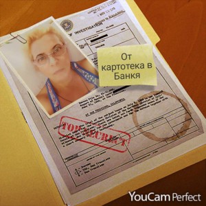 веселина томова