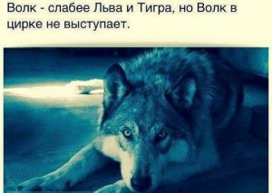 БОЙКО БОРИСОВ