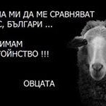 ИЗБОРИ ВАРНА
