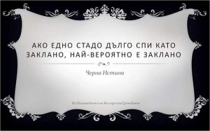 МВР