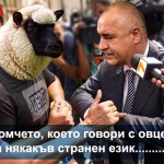 бойко борисов