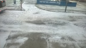 ВАРНА