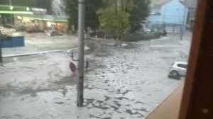 ВАРНА