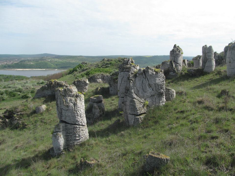 chuka harmankia