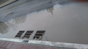 „ВИЧО“. ГЕРБ - ПОРТНИХ. „КАСИЧКАТА“. ПРЯСНО „АСФАЛТИРАНЕ“. И КЪЩАТА ДО МОРЕТО... ХИДСРОСТРОЙ ВАРНА