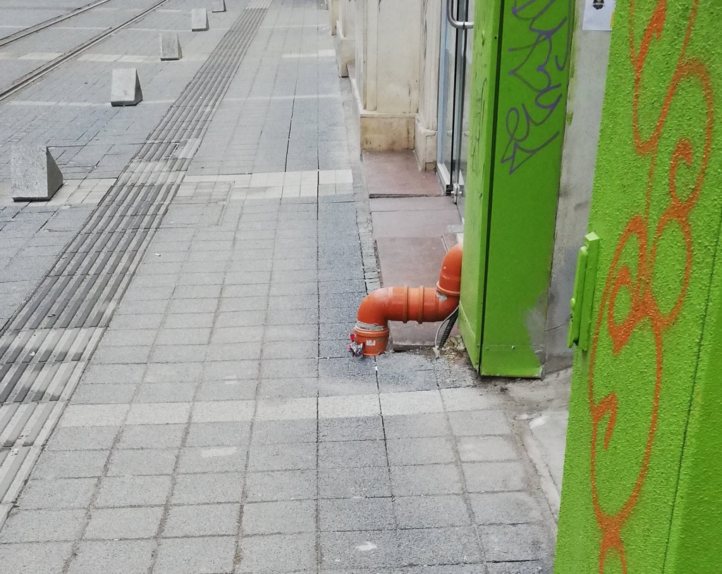 ГРАФ ИГНАТИЕВ СОФИЯ
